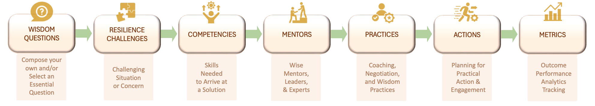 Organizations